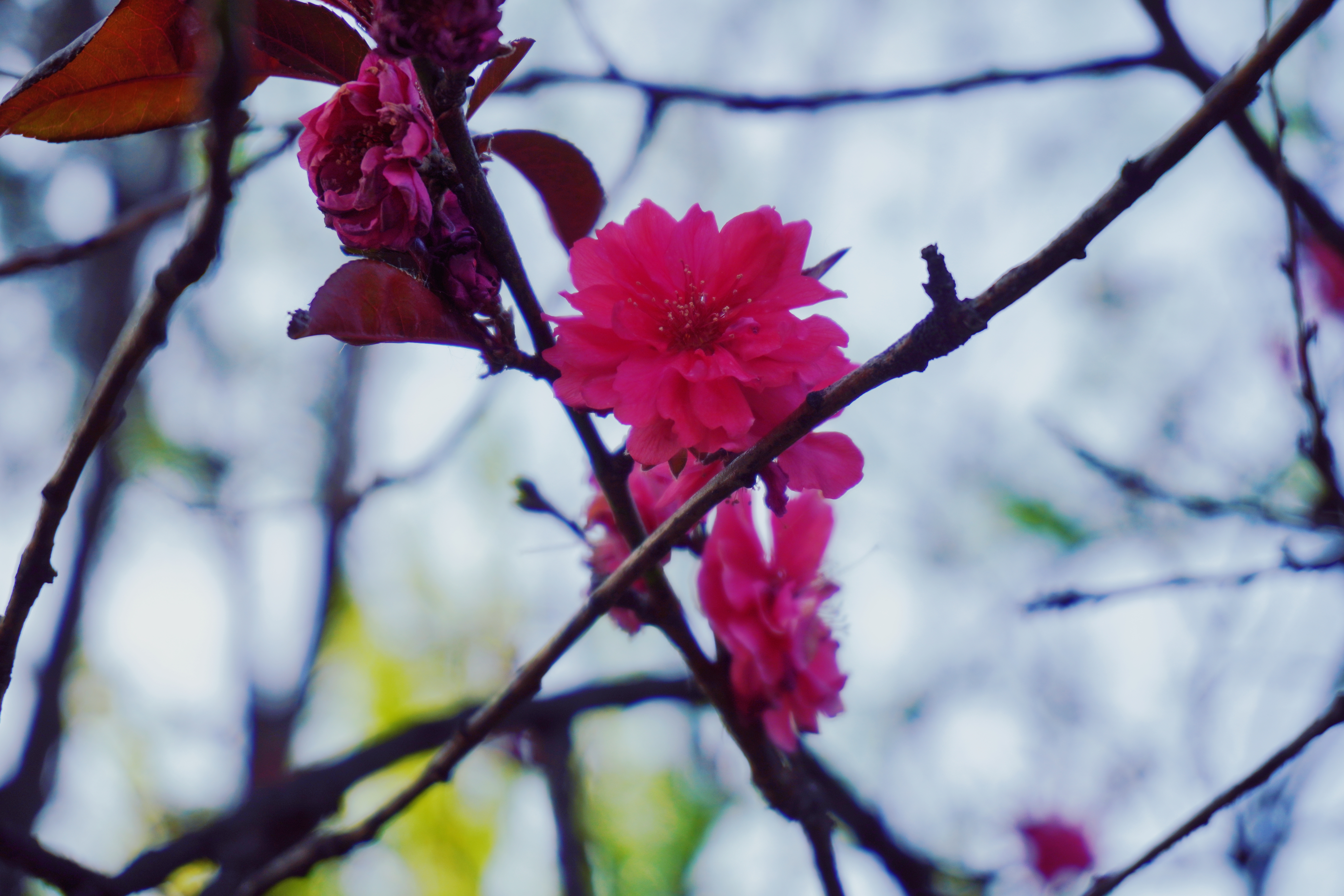 retouch_2024041019275679